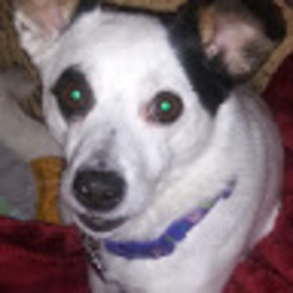 Meet your Posher, Mrs. deanna - Picture 1 of 1